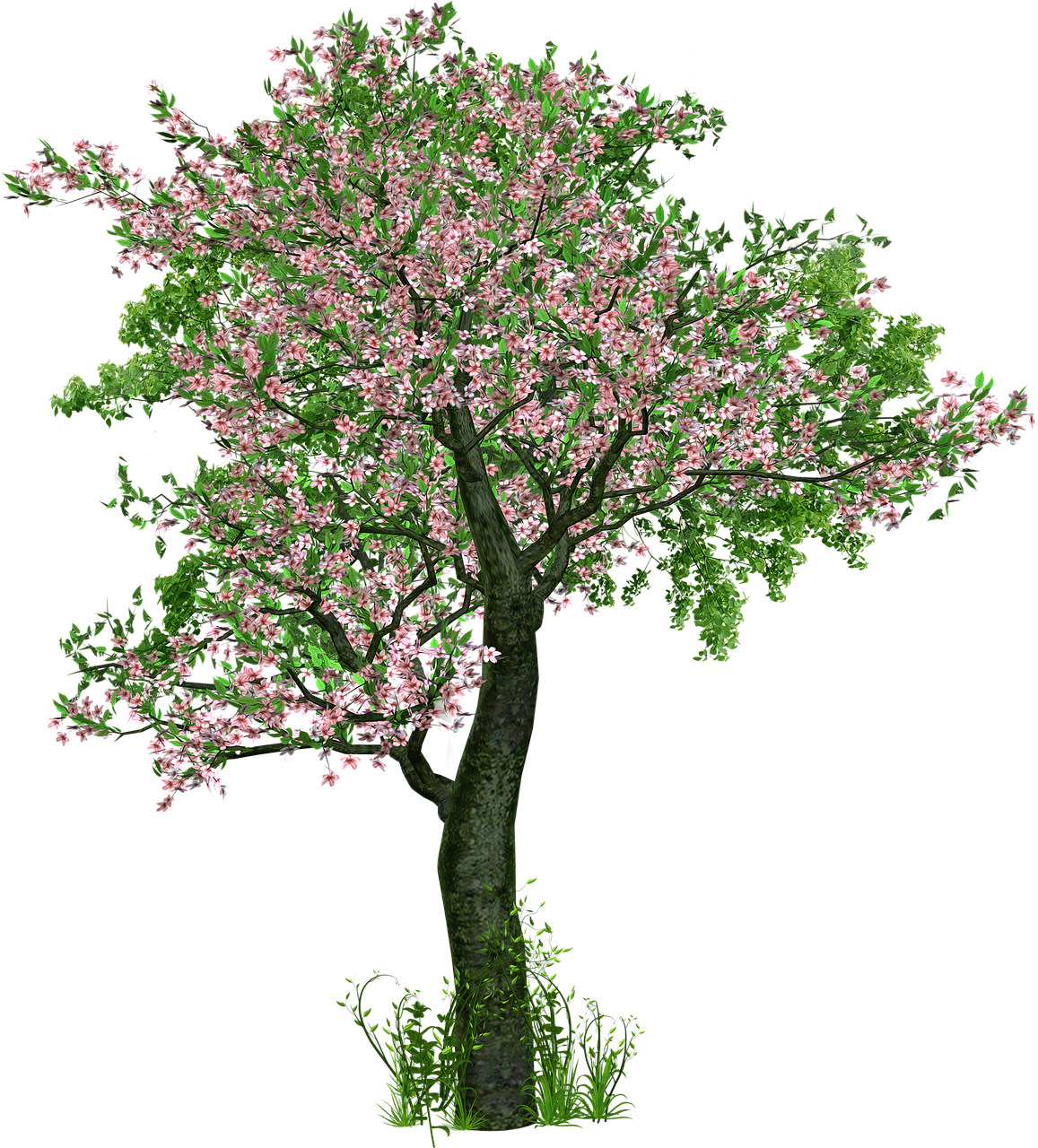 Baum in Blüte